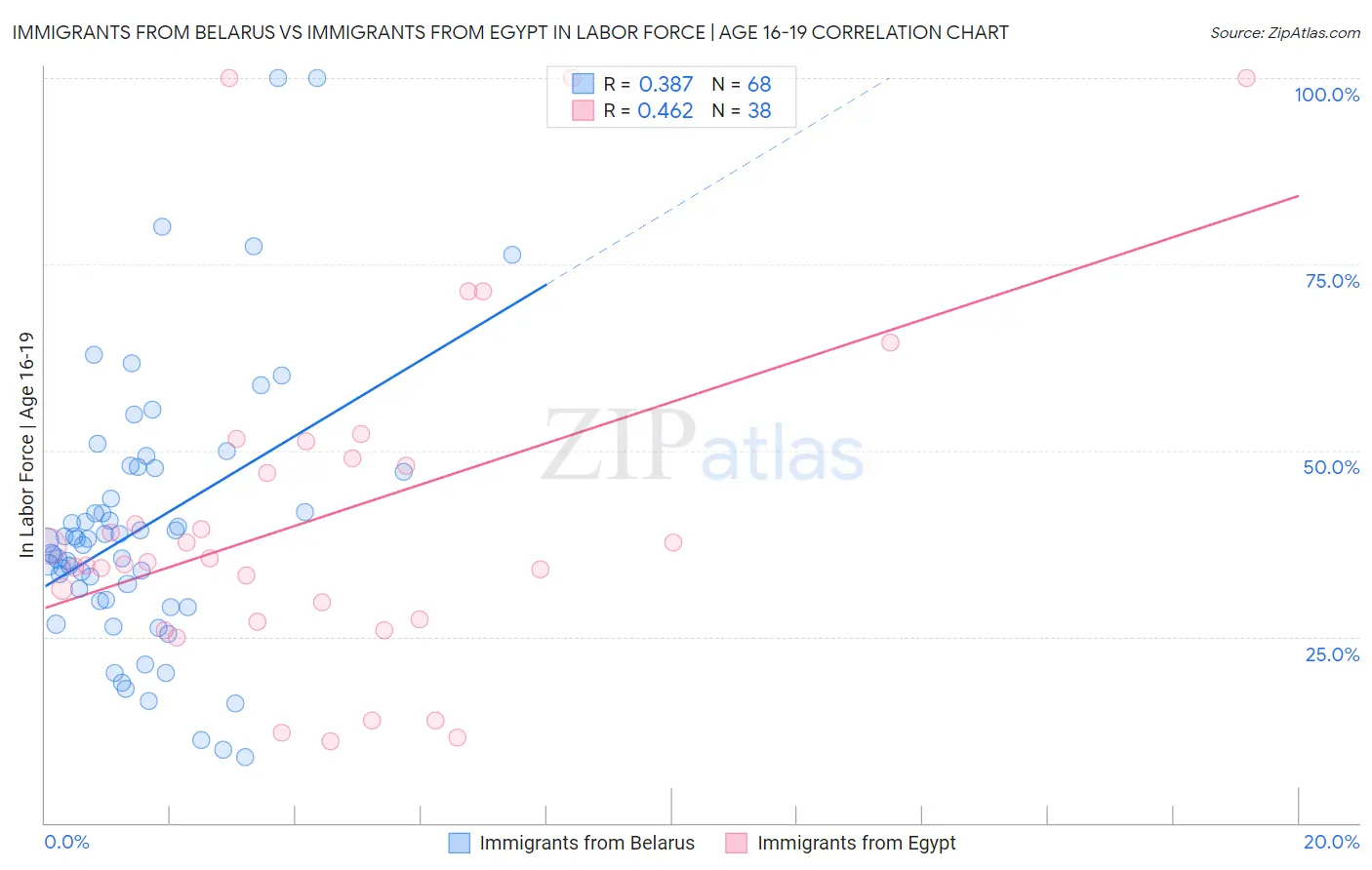 Immigrants from Belarus vs Immigrants from Egypt In Labor Force | Age 16-19