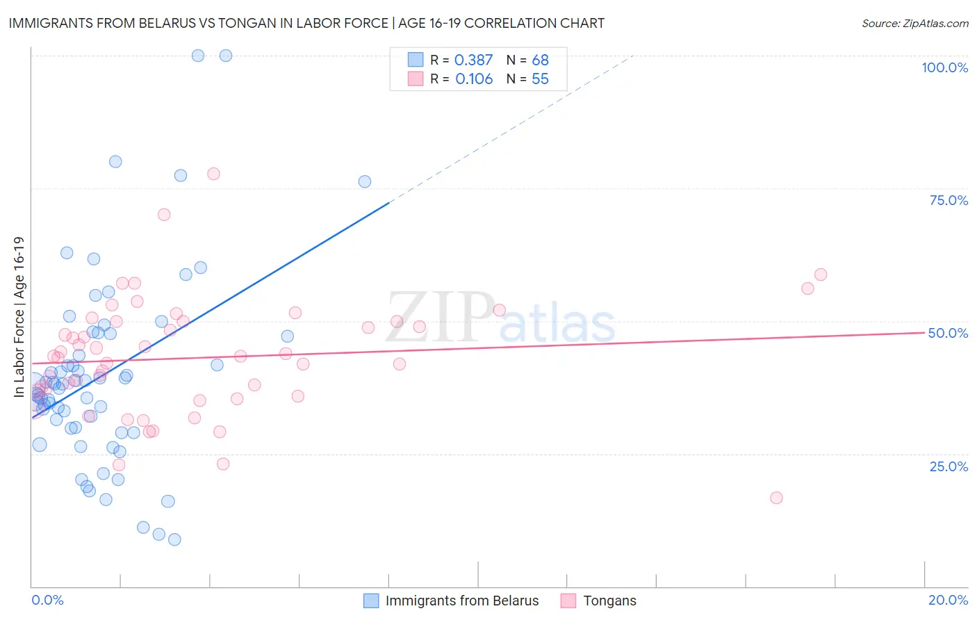 Immigrants from Belarus vs Tongan In Labor Force | Age 16-19