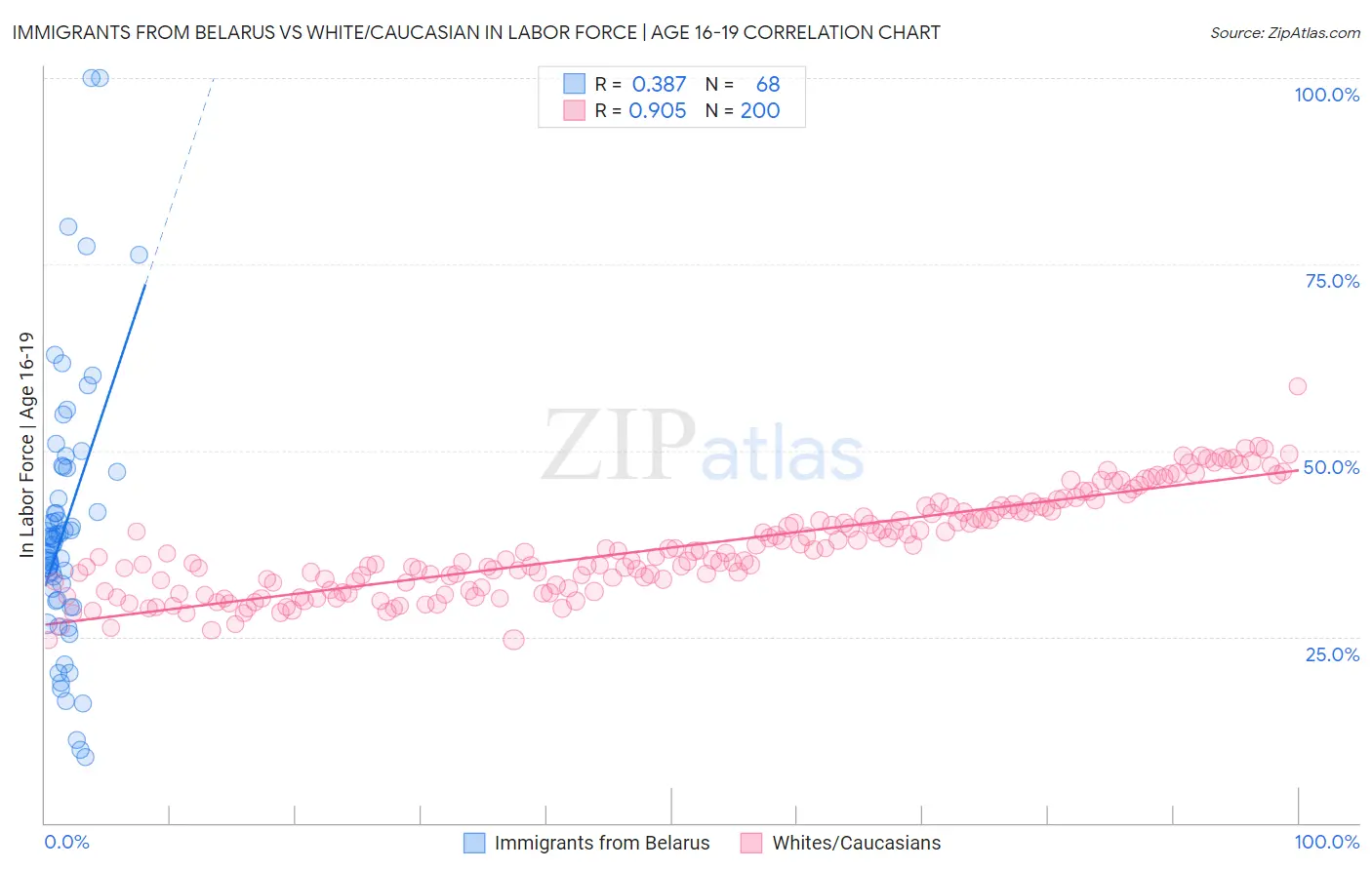 Immigrants from Belarus vs White/Caucasian In Labor Force | Age 16-19