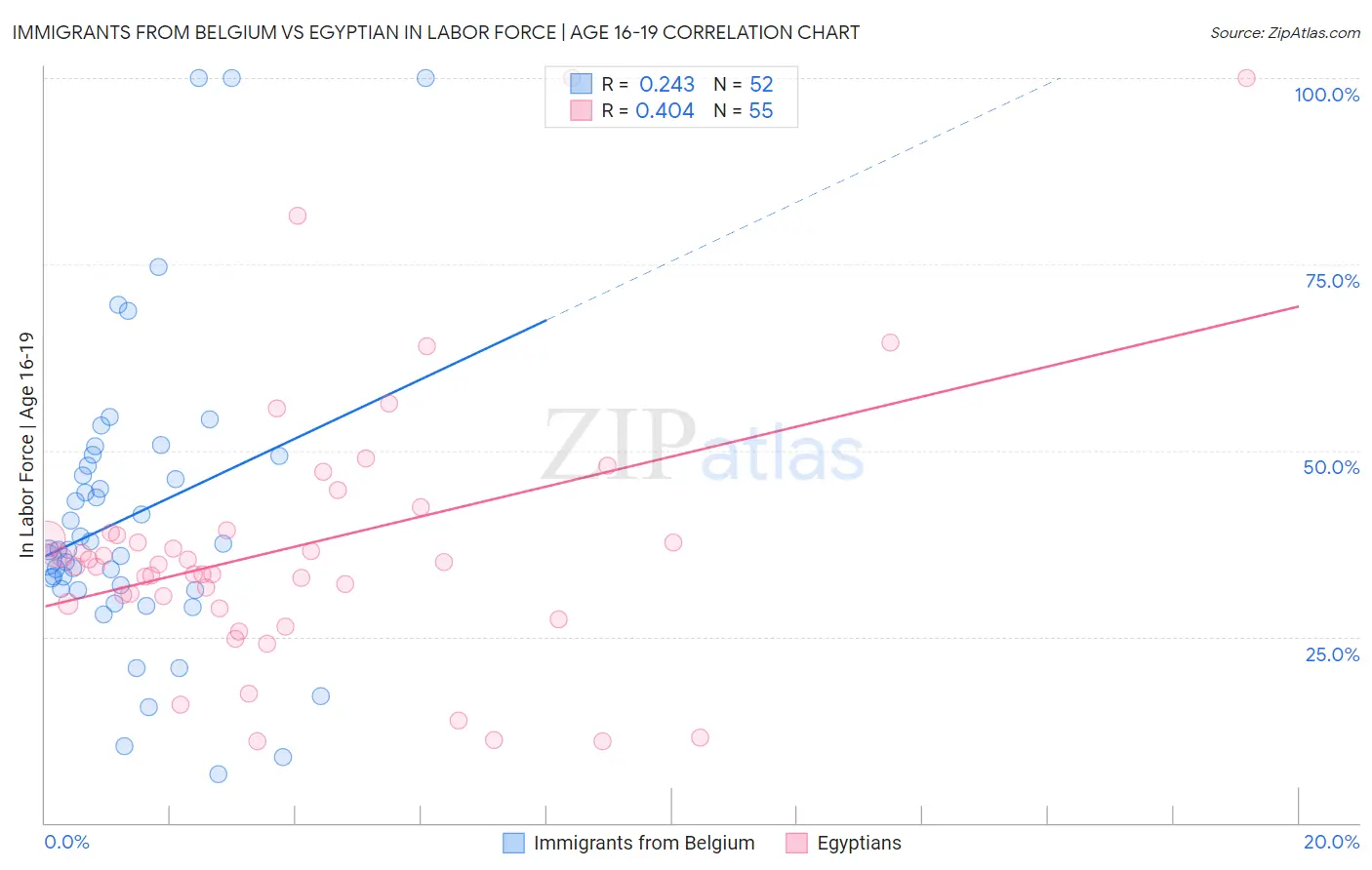 Immigrants from Belgium vs Egyptian In Labor Force | Age 16-19