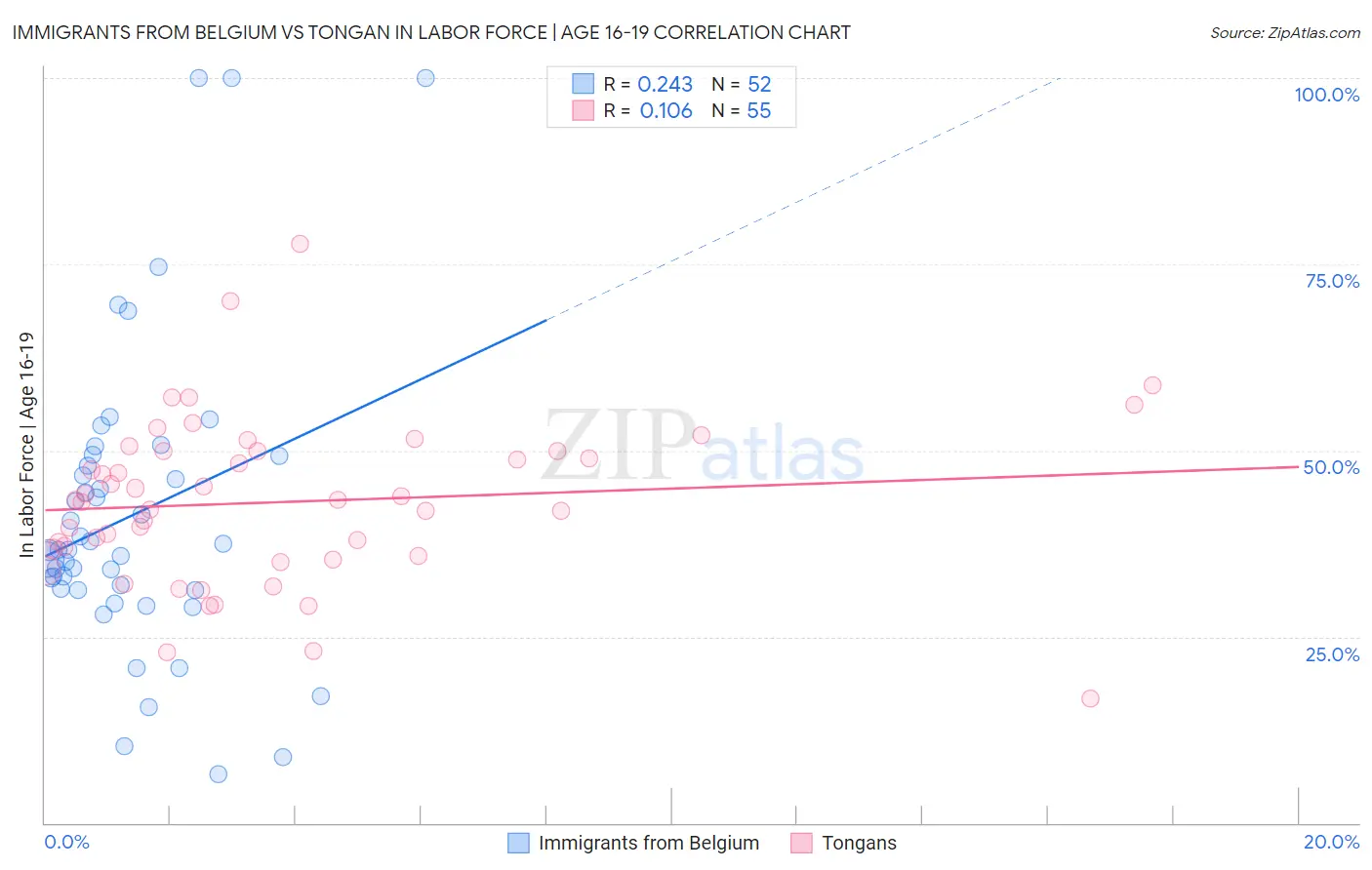 Immigrants from Belgium vs Tongan In Labor Force | Age 16-19