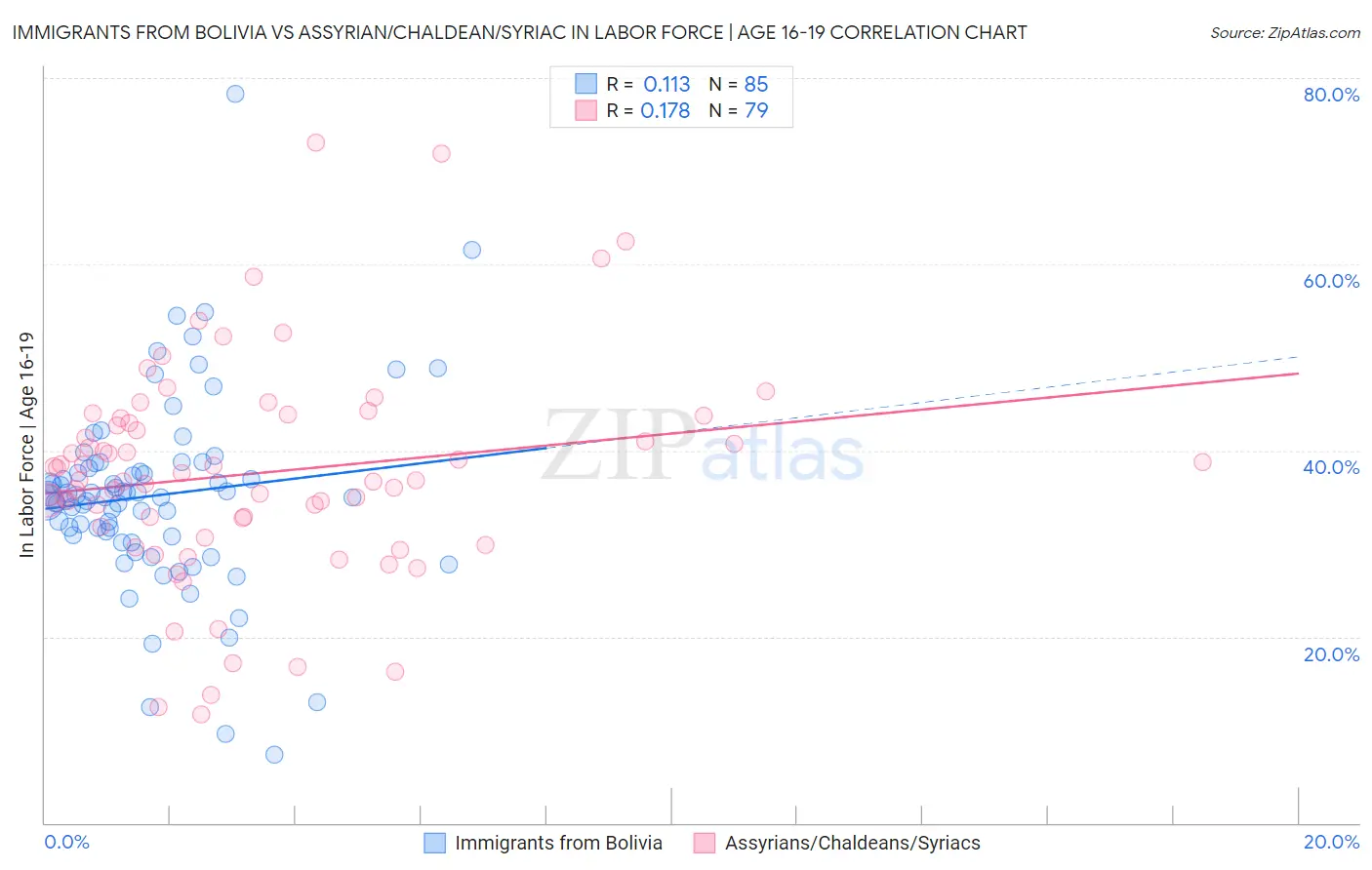 Immigrants from Bolivia vs Assyrian/Chaldean/Syriac In Labor Force | Age 16-19