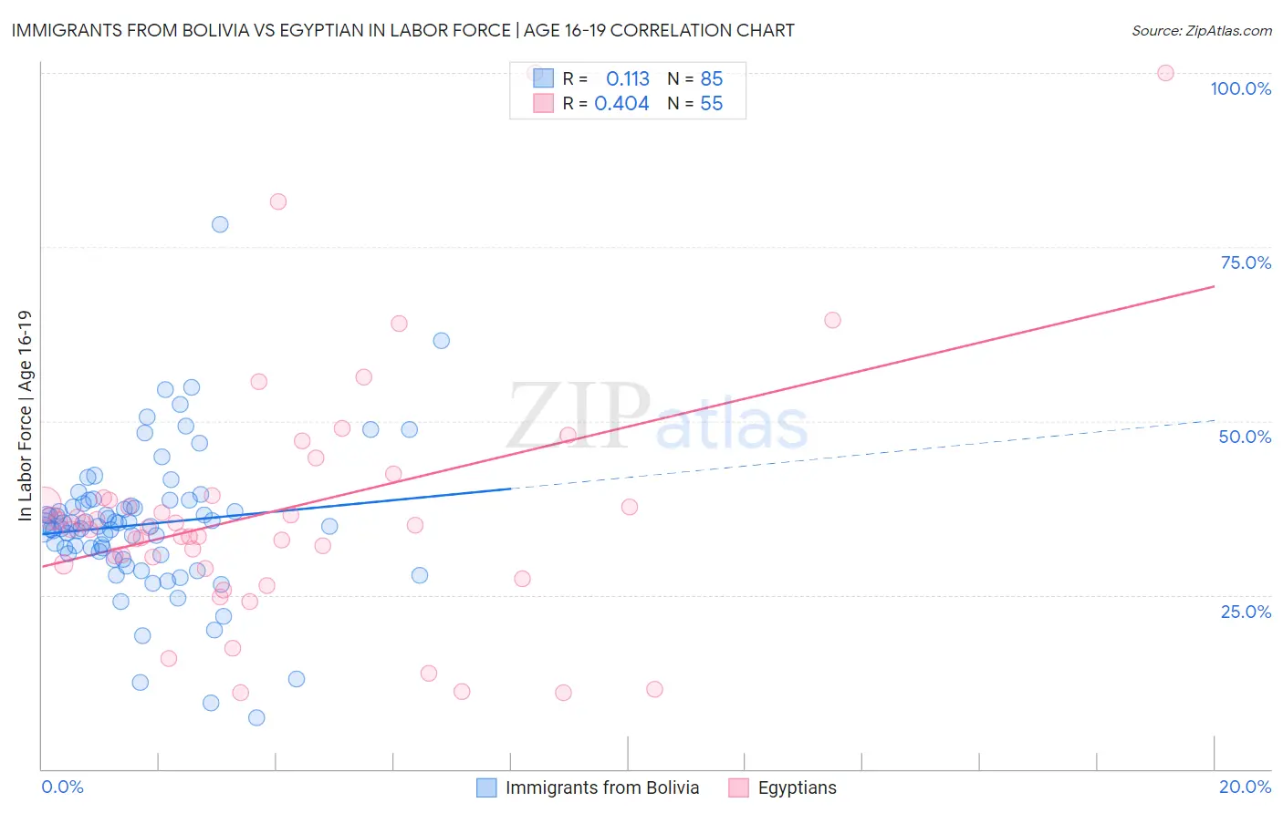 Immigrants from Bolivia vs Egyptian In Labor Force | Age 16-19