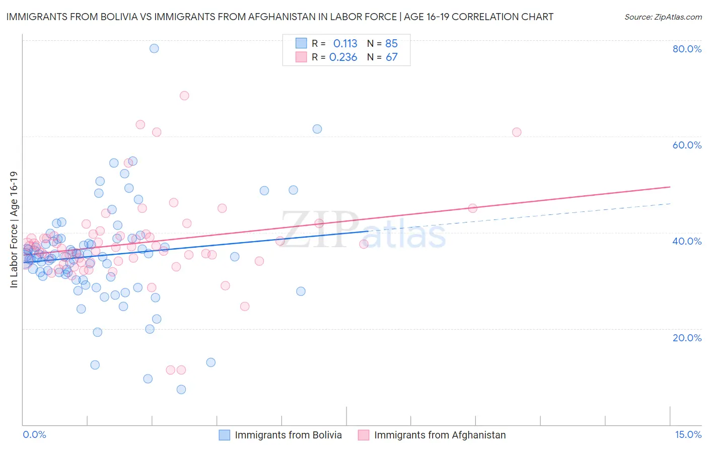 Immigrants from Bolivia vs Immigrants from Afghanistan In Labor Force | Age 16-19
