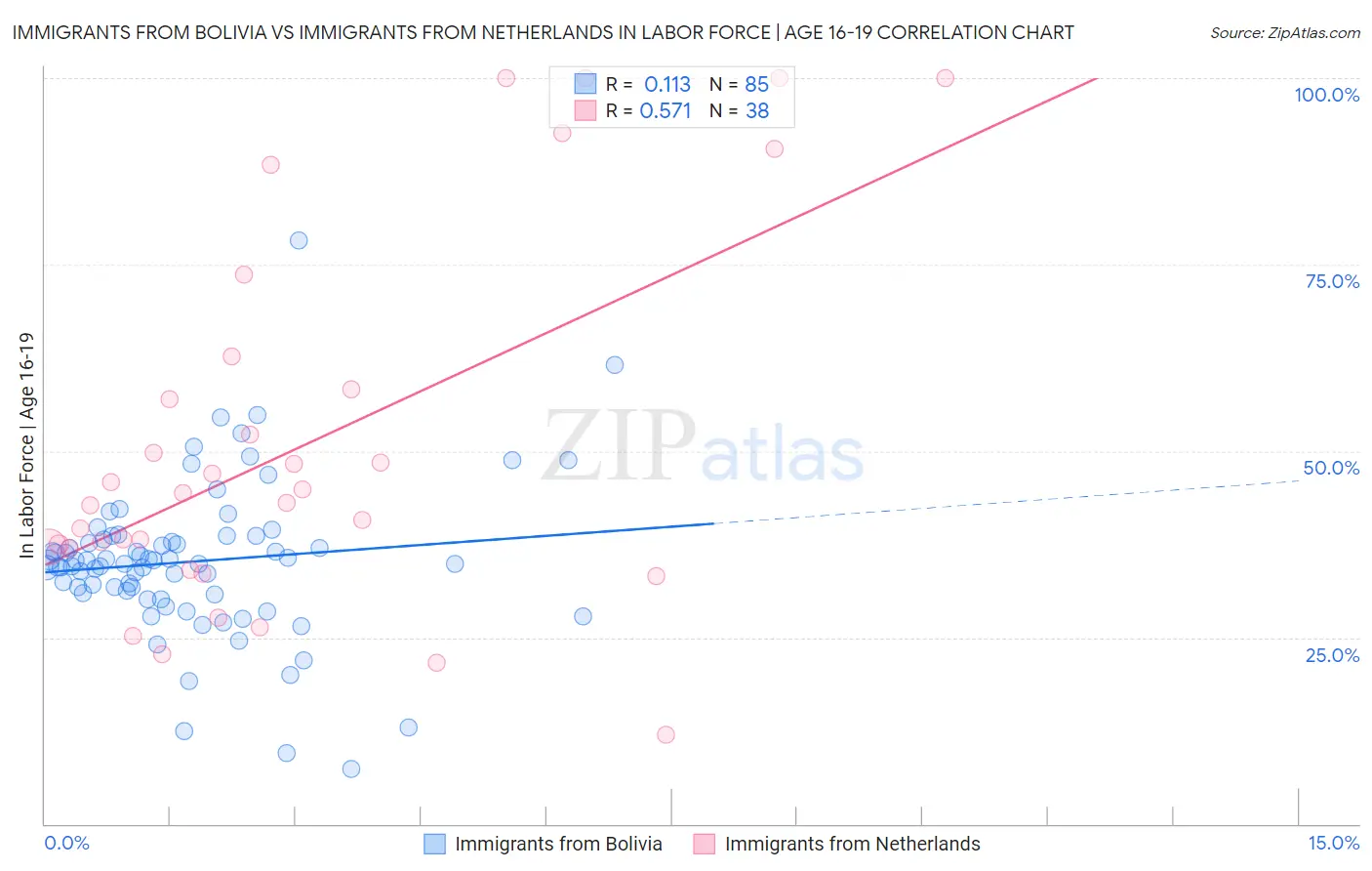 Immigrants from Bolivia vs Immigrants from Netherlands In Labor Force | Age 16-19