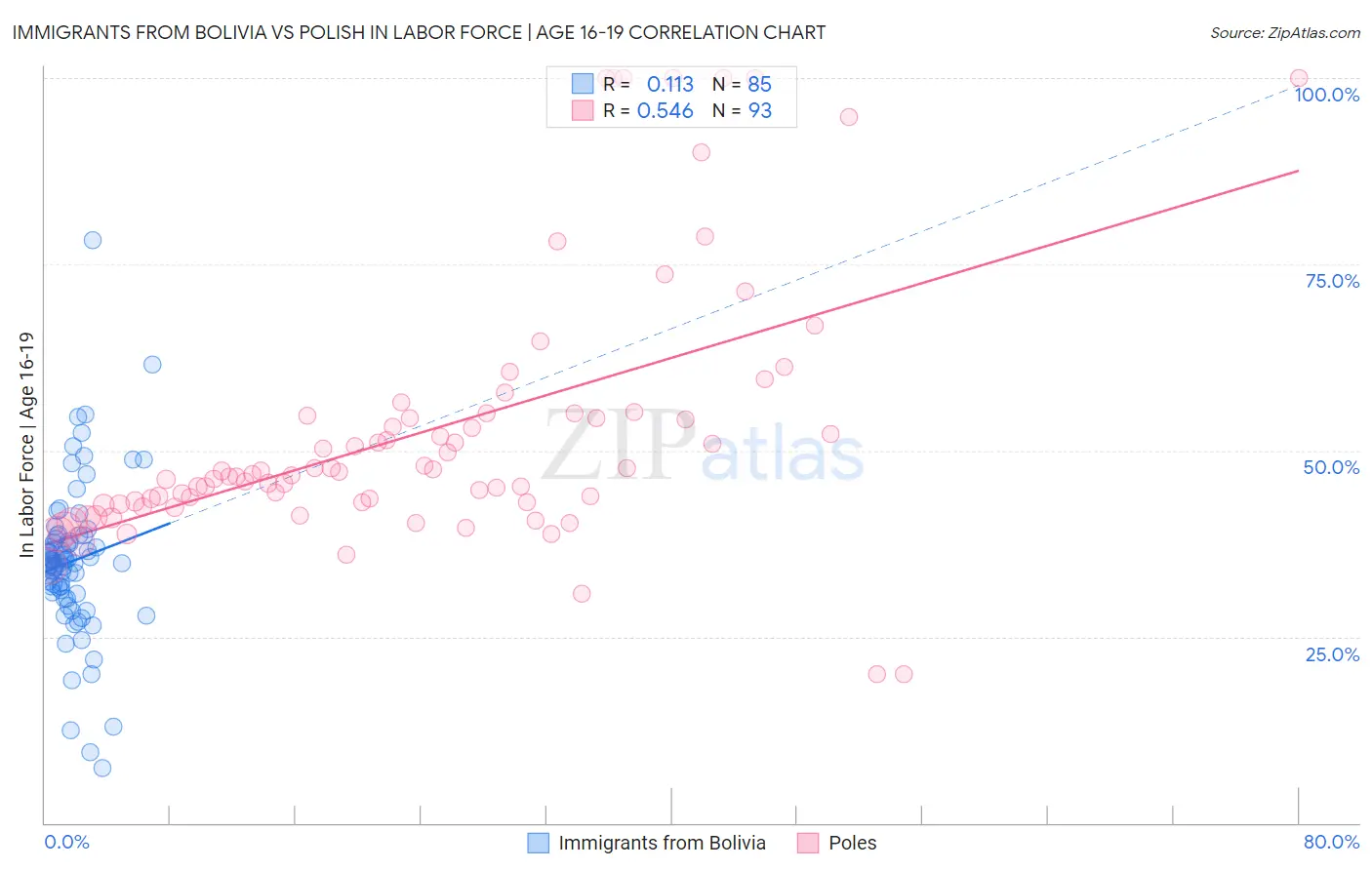 Immigrants from Bolivia vs Polish In Labor Force | Age 16-19