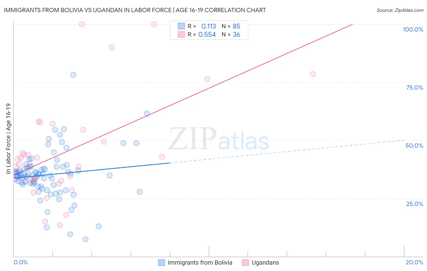 Immigrants from Bolivia vs Ugandan In Labor Force | Age 16-19