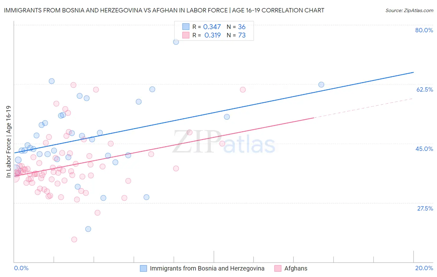 Immigrants from Bosnia and Herzegovina vs Afghan In Labor Force | Age 16-19