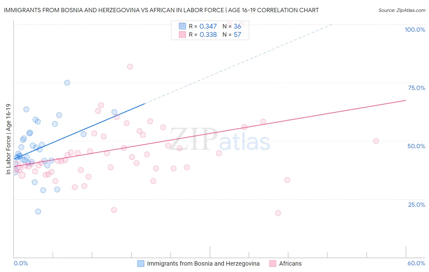 Immigrants from Bosnia and Herzegovina vs African In Labor Force | Age 16-19