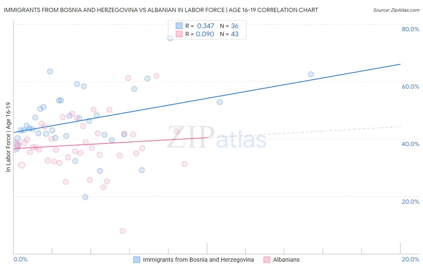 Immigrants from Bosnia and Herzegovina vs Albanian In Labor Force | Age 16-19