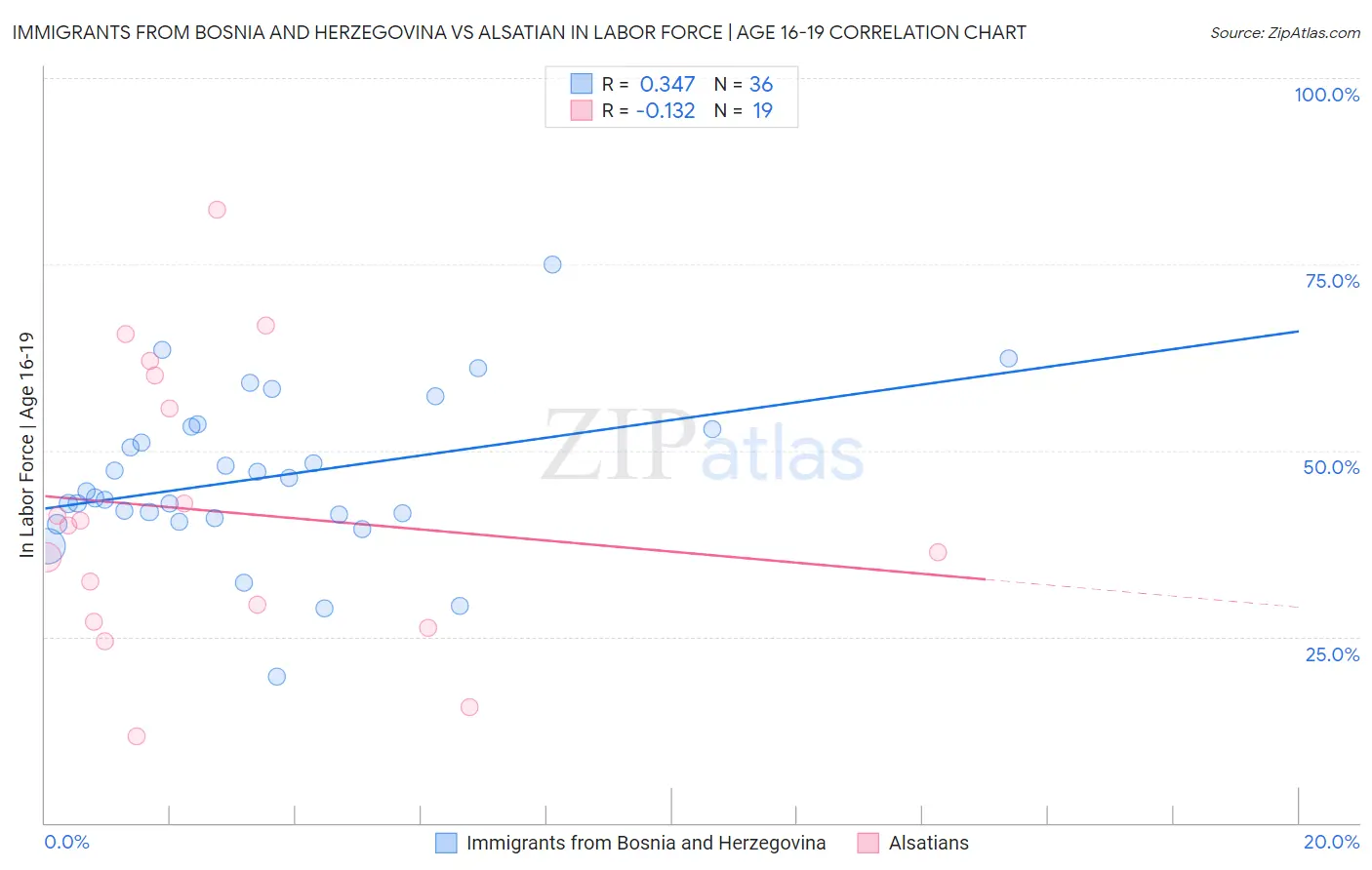 Immigrants from Bosnia and Herzegovina vs Alsatian In Labor Force | Age 16-19