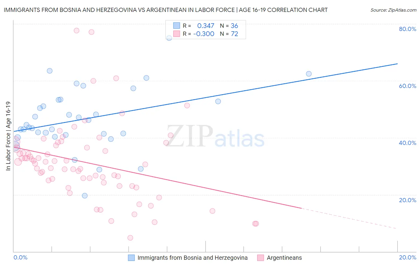 Immigrants from Bosnia and Herzegovina vs Argentinean In Labor Force | Age 16-19