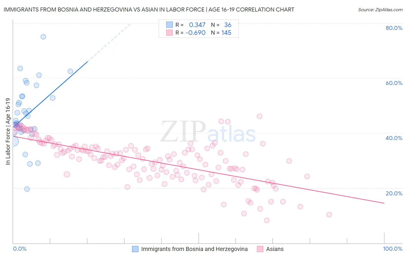 Immigrants from Bosnia and Herzegovina vs Asian In Labor Force | Age 16-19
