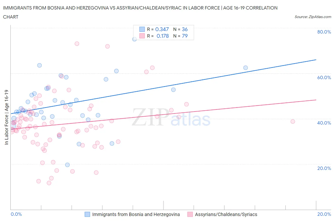 Immigrants from Bosnia and Herzegovina vs Assyrian/Chaldean/Syriac In Labor Force | Age 16-19