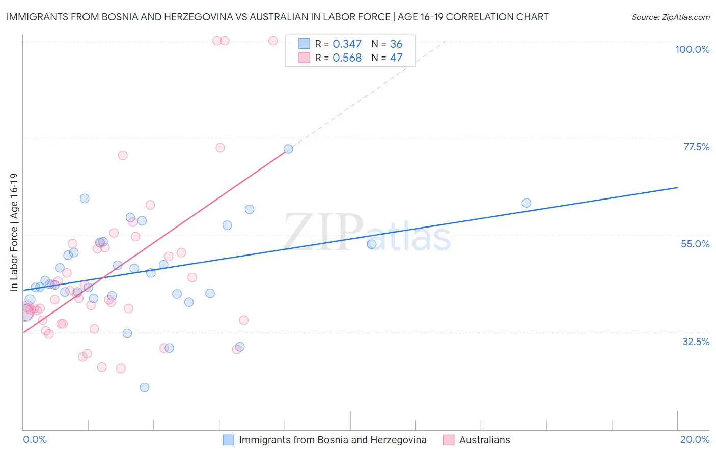 Immigrants from Bosnia and Herzegovina vs Australian In Labor Force | Age 16-19