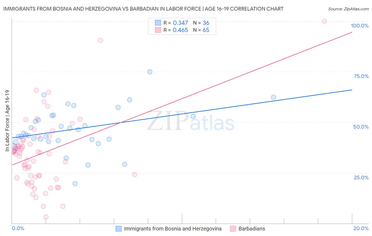 Immigrants from Bosnia and Herzegovina vs Barbadian In Labor Force | Age 16-19