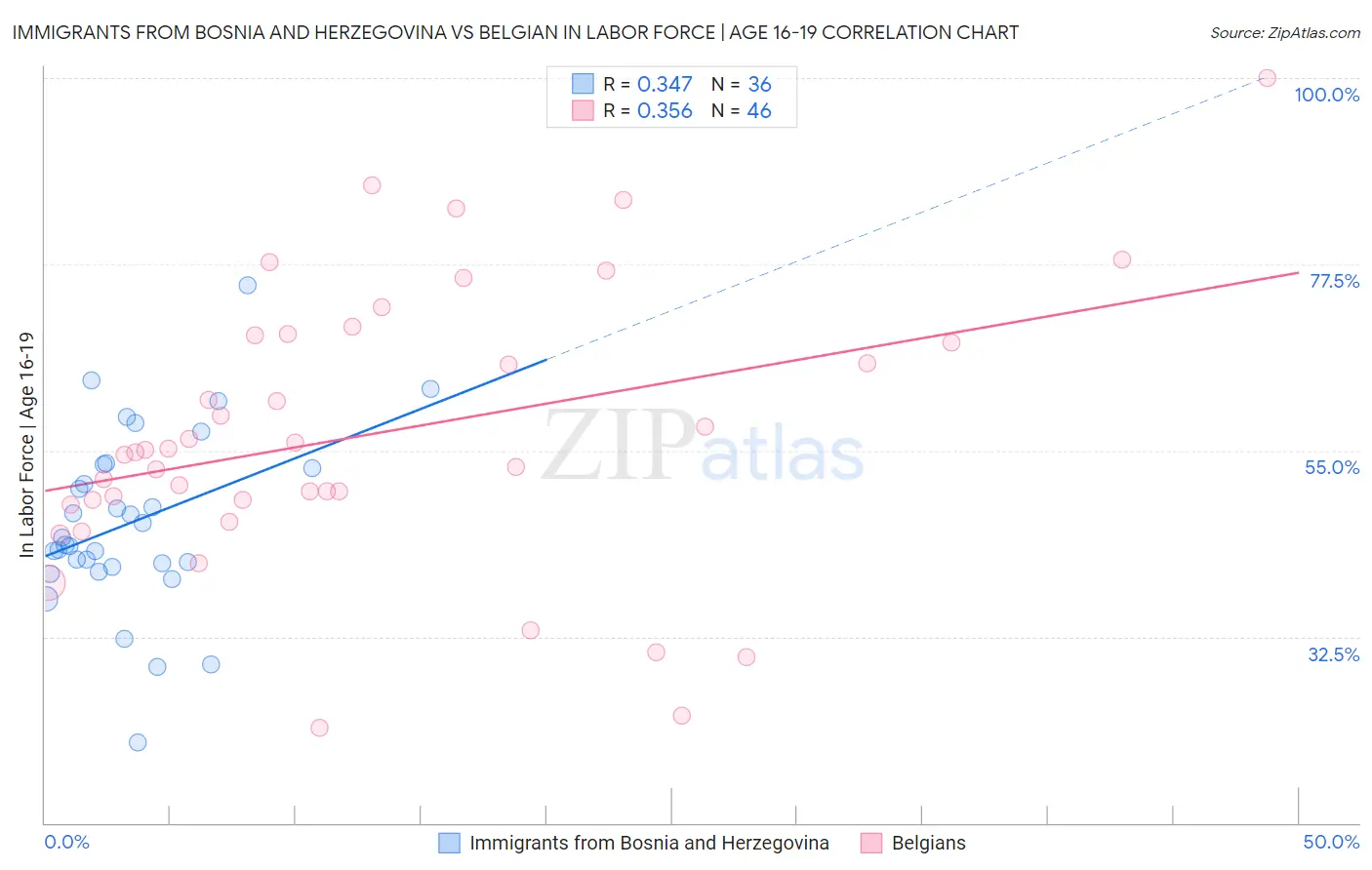 Immigrants from Bosnia and Herzegovina vs Belgian In Labor Force | Age 16-19