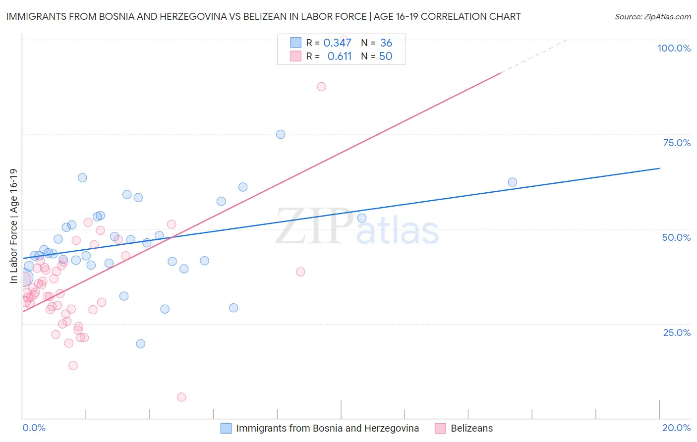 Immigrants from Bosnia and Herzegovina vs Belizean In Labor Force | Age 16-19