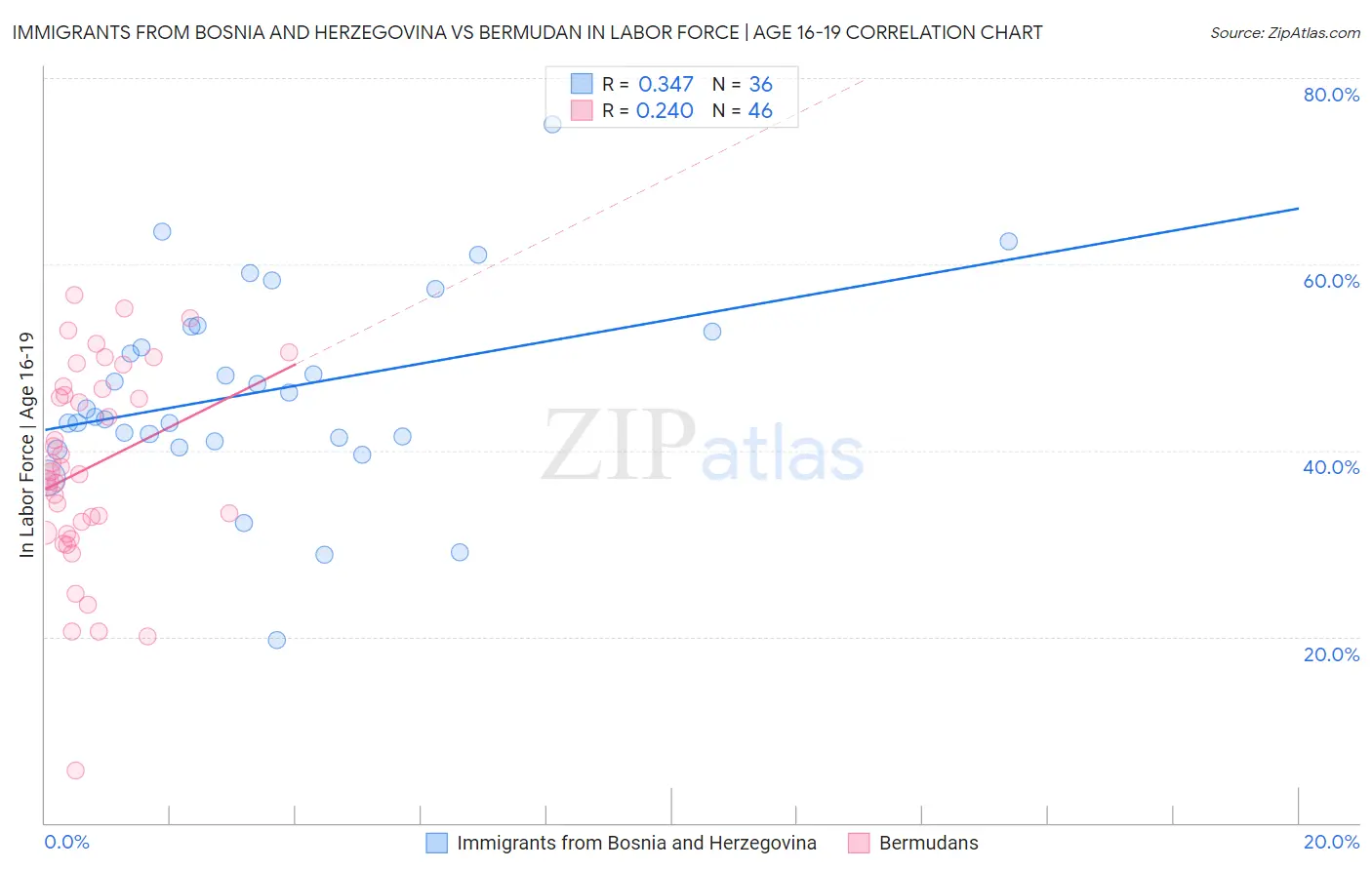 Immigrants from Bosnia and Herzegovina vs Bermudan In Labor Force | Age 16-19