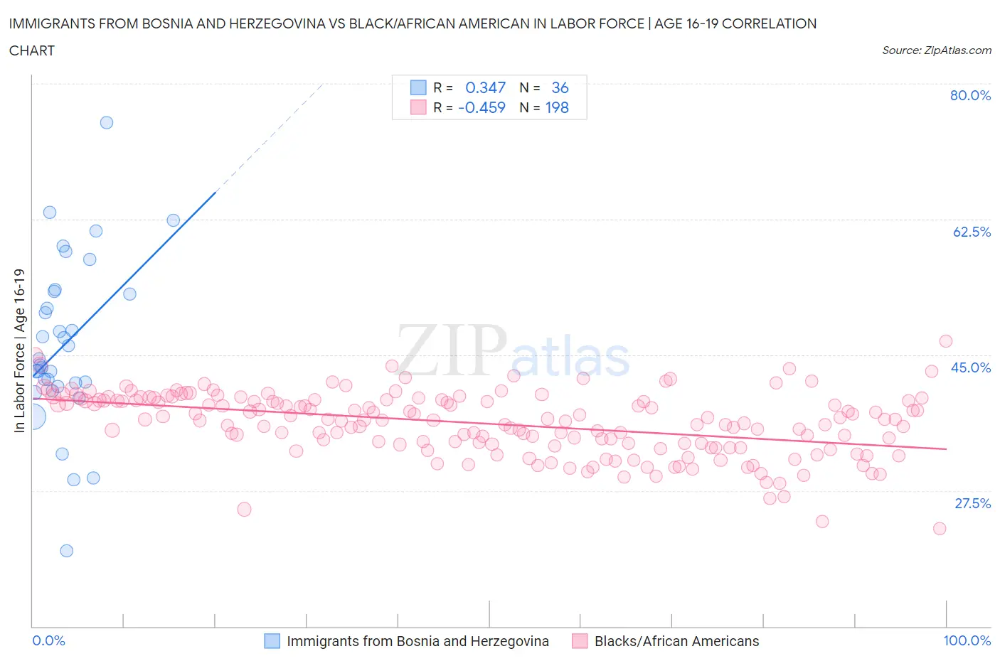 Immigrants from Bosnia and Herzegovina vs Black/African American In Labor Force | Age 16-19