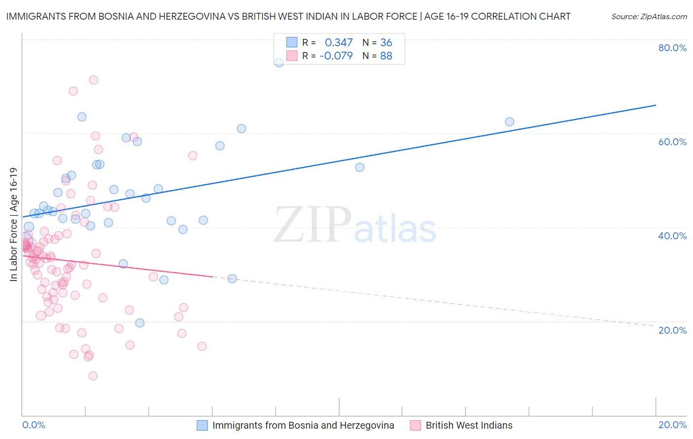 Immigrants from Bosnia and Herzegovina vs British West Indian In Labor Force | Age 16-19