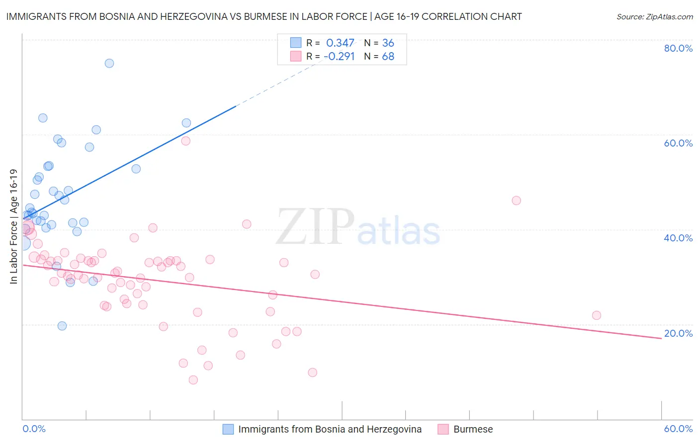 Immigrants from Bosnia and Herzegovina vs Burmese In Labor Force | Age 16-19
