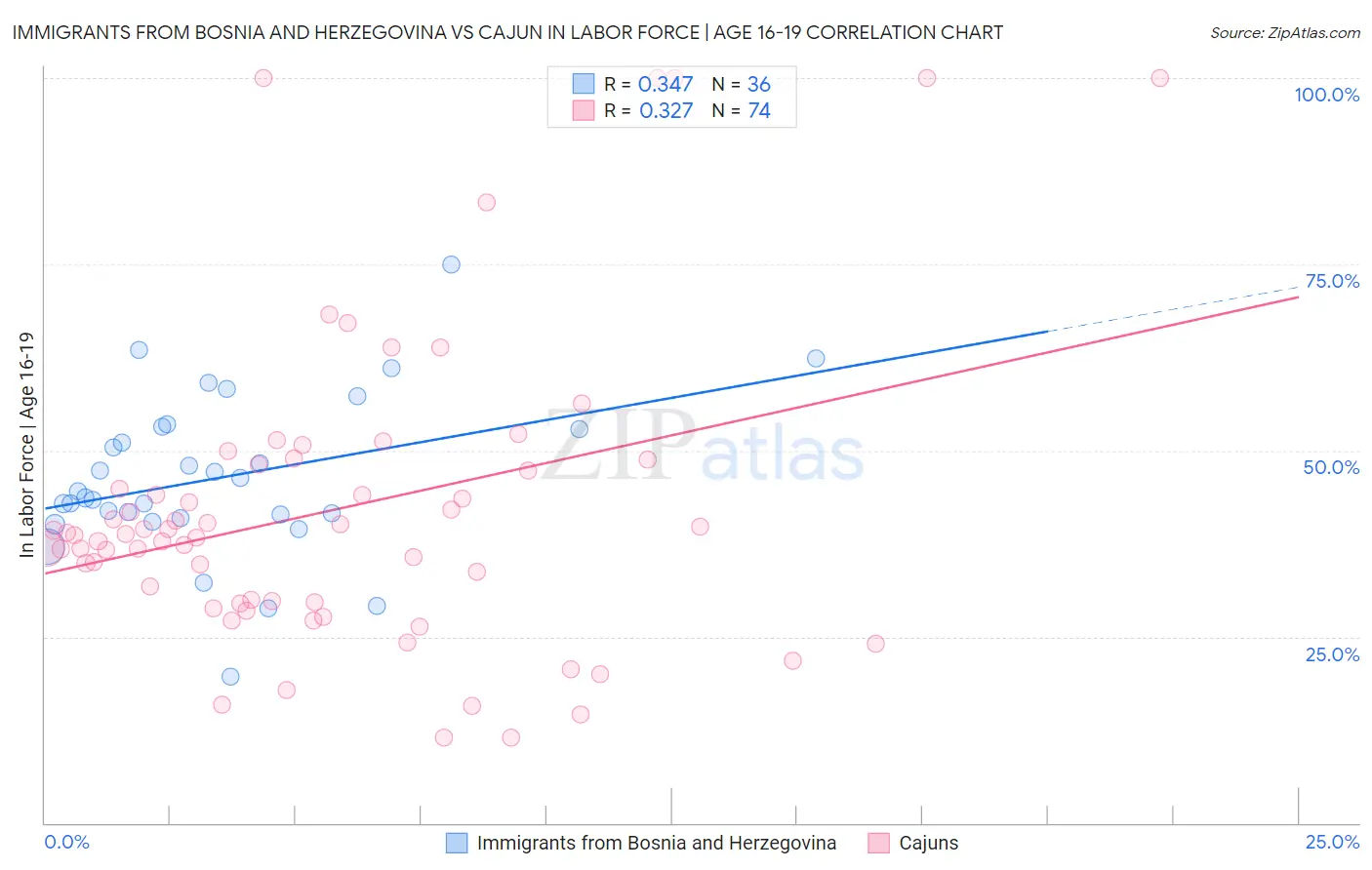 Immigrants from Bosnia and Herzegovina vs Cajun In Labor Force | Age 16-19