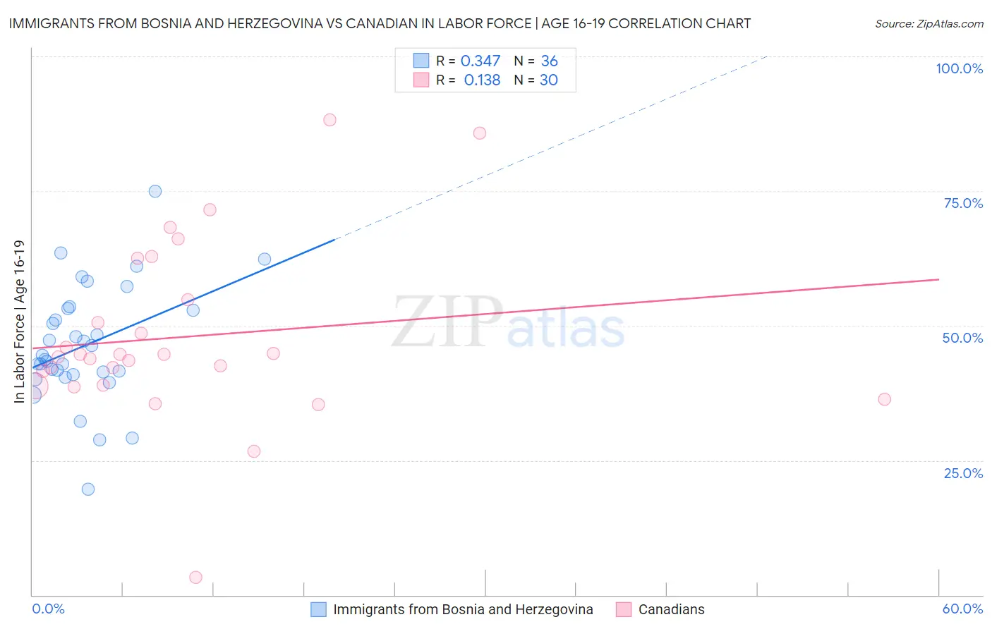 Immigrants from Bosnia and Herzegovina vs Canadian In Labor Force | Age 16-19