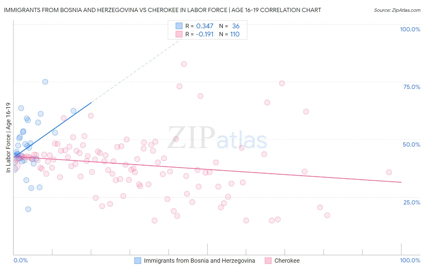 Immigrants from Bosnia and Herzegovina vs Cherokee In Labor Force | Age 16-19