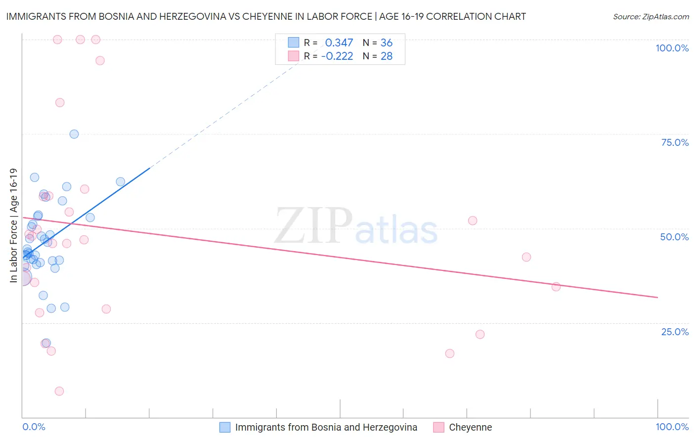Immigrants from Bosnia and Herzegovina vs Cheyenne In Labor Force | Age 16-19