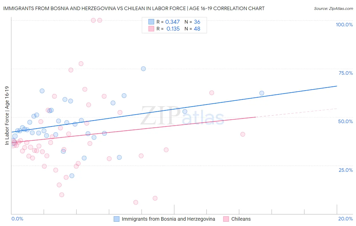 Immigrants from Bosnia and Herzegovina vs Chilean In Labor Force | Age 16-19