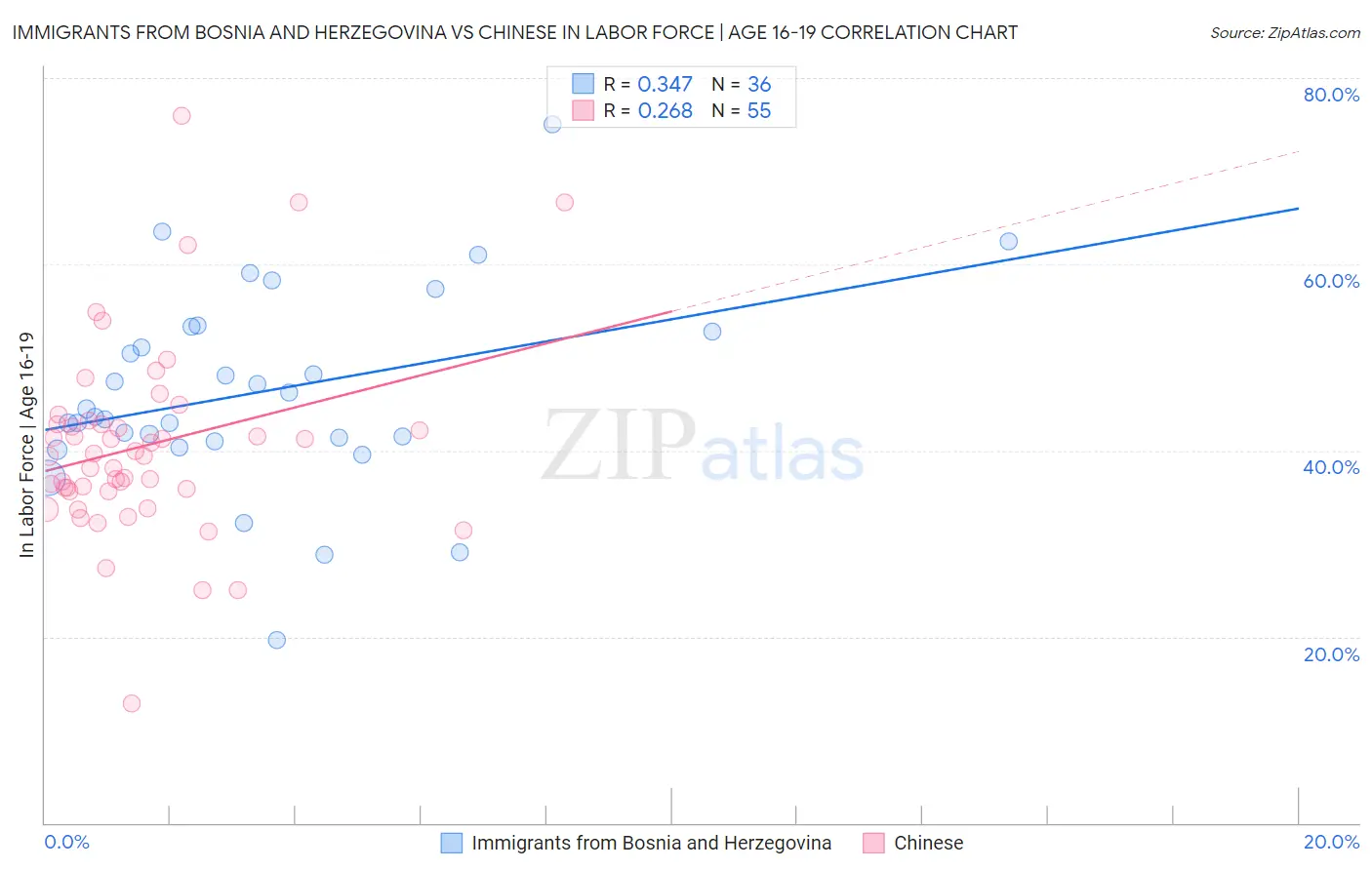 Immigrants from Bosnia and Herzegovina vs Chinese In Labor Force | Age 16-19