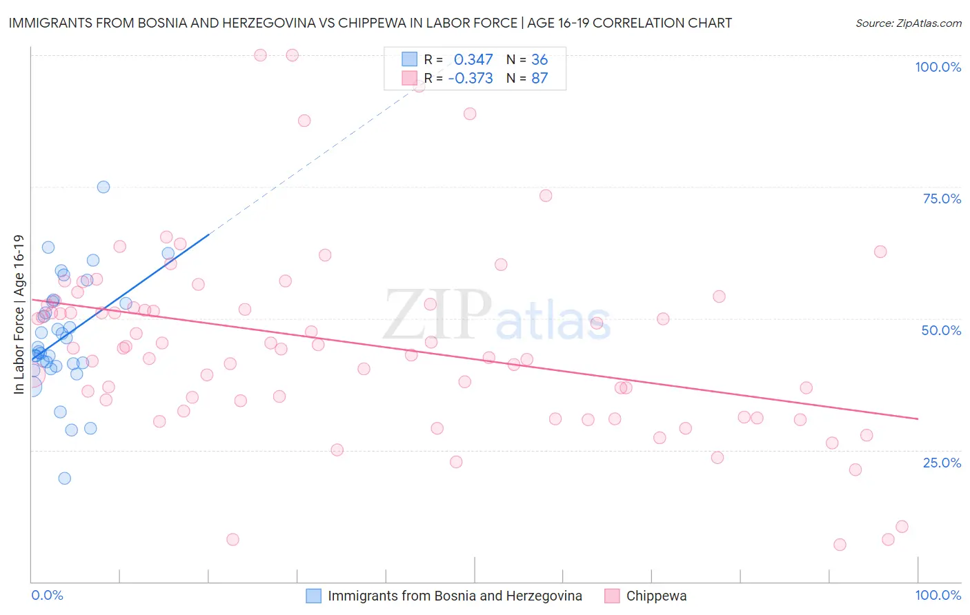 Immigrants from Bosnia and Herzegovina vs Chippewa In Labor Force | Age 16-19