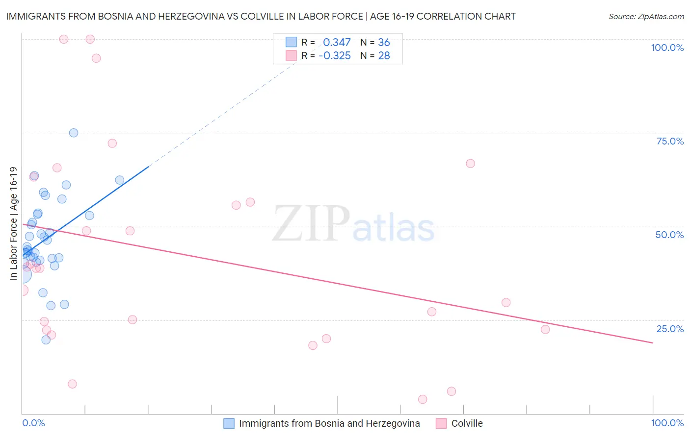 Immigrants from Bosnia and Herzegovina vs Colville In Labor Force | Age 16-19