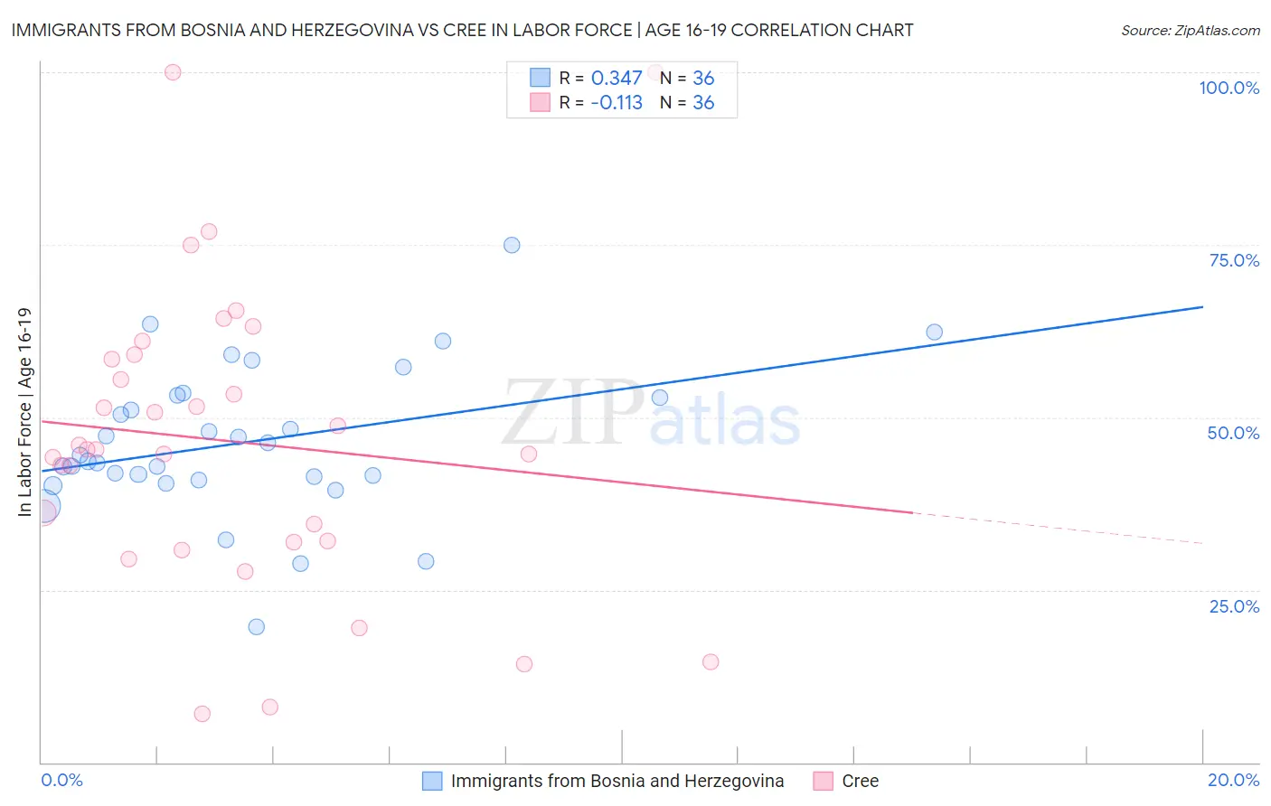 Immigrants from Bosnia and Herzegovina vs Cree In Labor Force | Age 16-19
