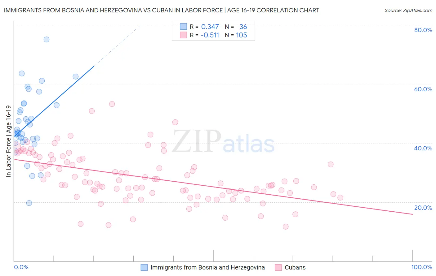 Immigrants from Bosnia and Herzegovina vs Cuban In Labor Force | Age 16-19