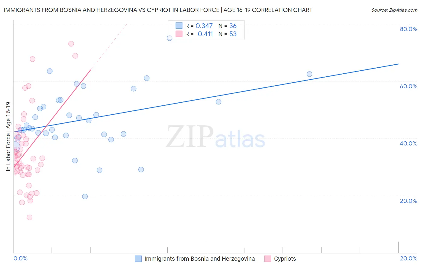 Immigrants from Bosnia and Herzegovina vs Cypriot In Labor Force | Age 16-19