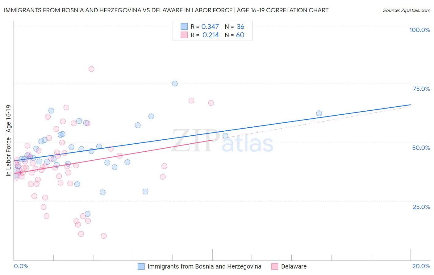Immigrants from Bosnia and Herzegovina vs Delaware In Labor Force | Age 16-19