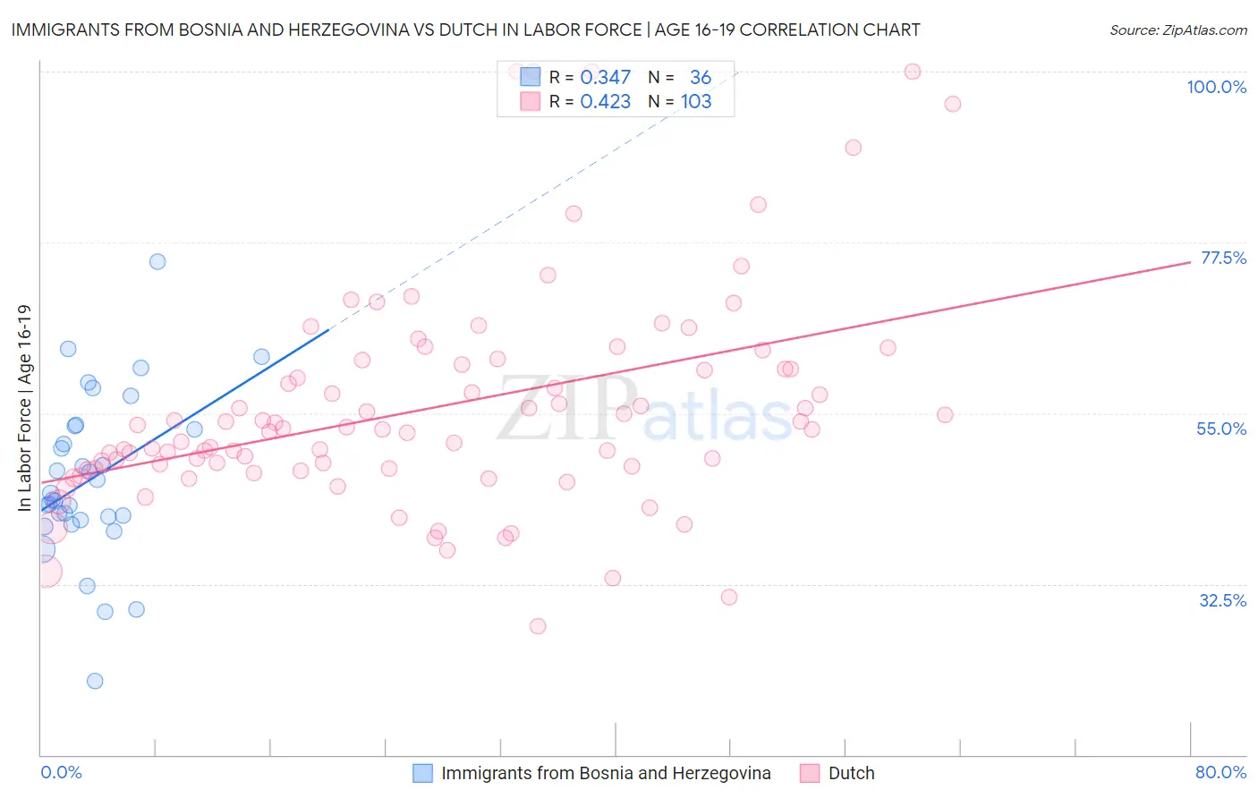 Immigrants from Bosnia and Herzegovina vs Dutch In Labor Force | Age 16-19
