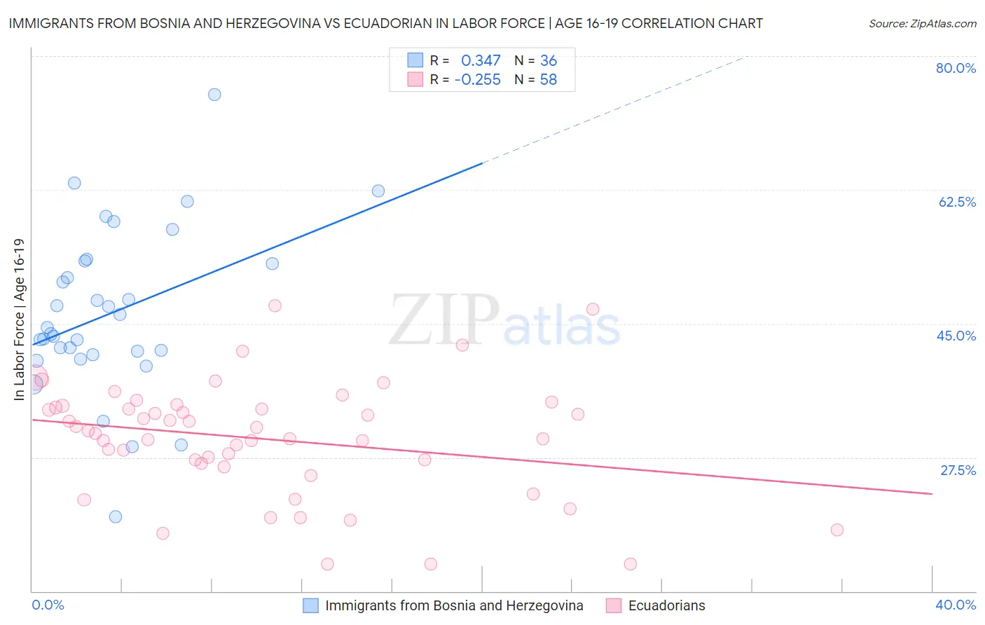 Immigrants from Bosnia and Herzegovina vs Ecuadorian In Labor Force | Age 16-19