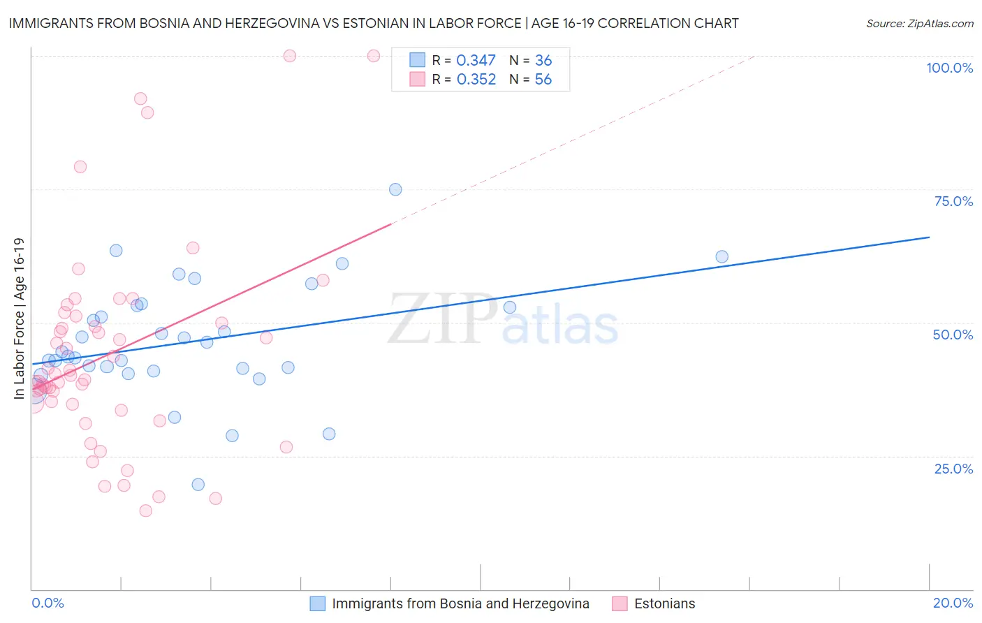 Immigrants from Bosnia and Herzegovina vs Estonian In Labor Force | Age 16-19