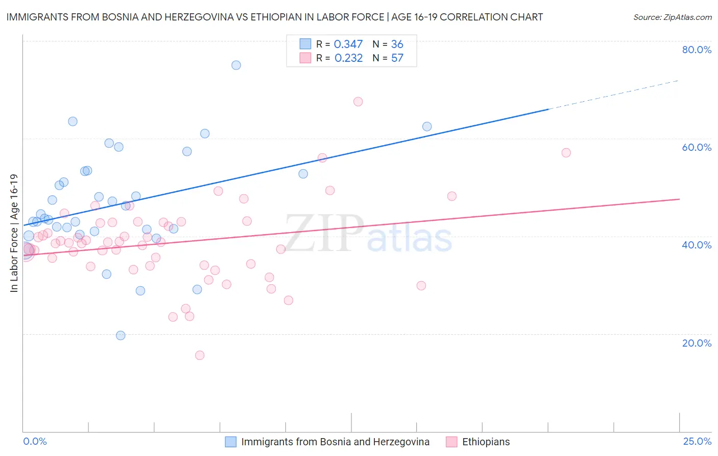 Immigrants from Bosnia and Herzegovina vs Ethiopian In Labor Force | Age 16-19