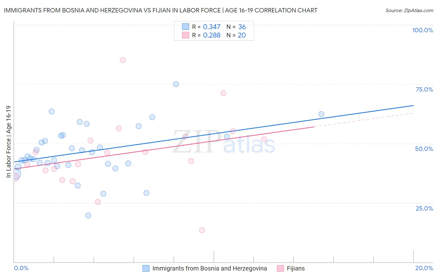 Immigrants from Bosnia and Herzegovina vs Fijian In Labor Force | Age 16-19