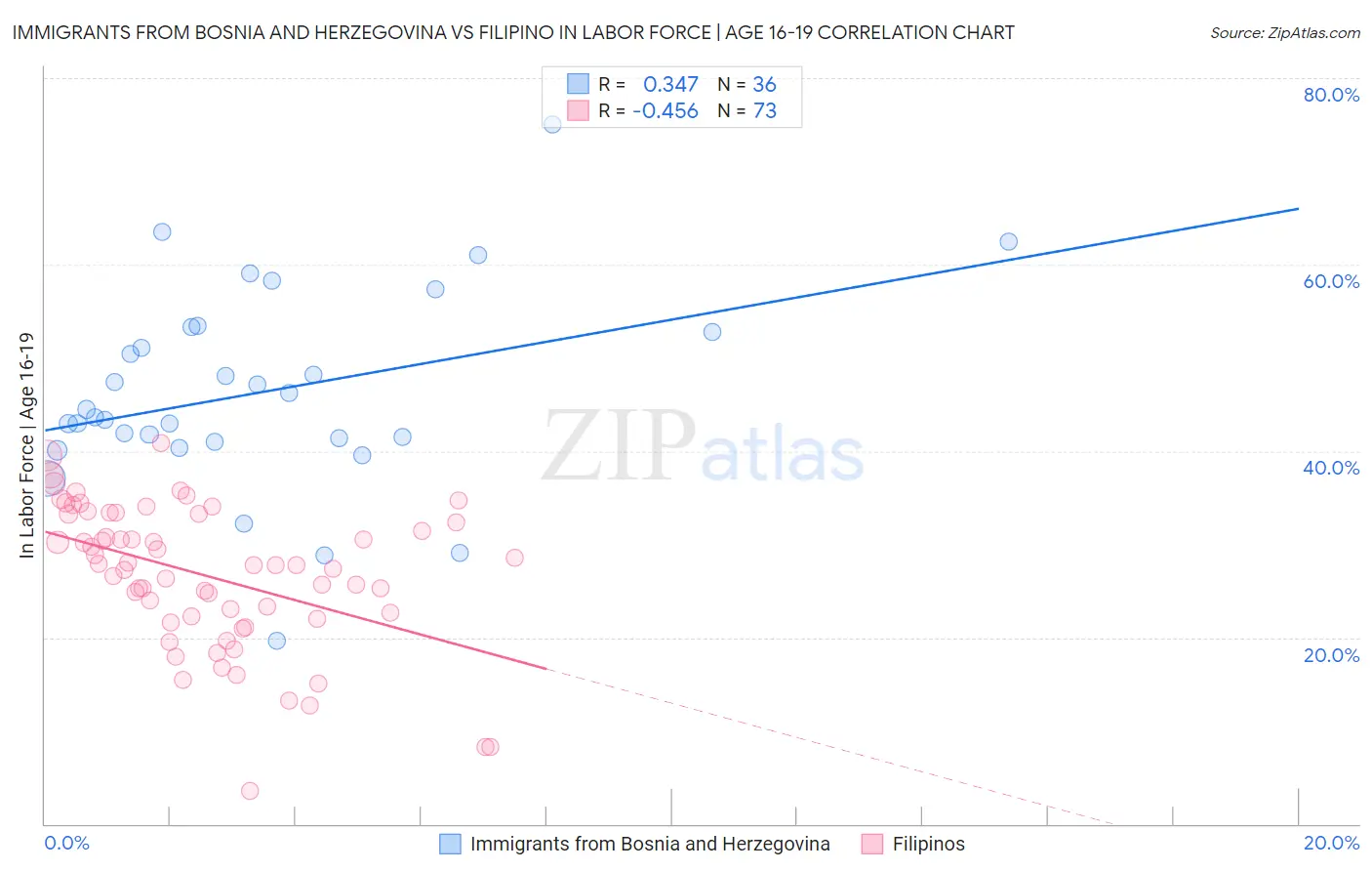 Immigrants from Bosnia and Herzegovina vs Filipino In Labor Force | Age 16-19