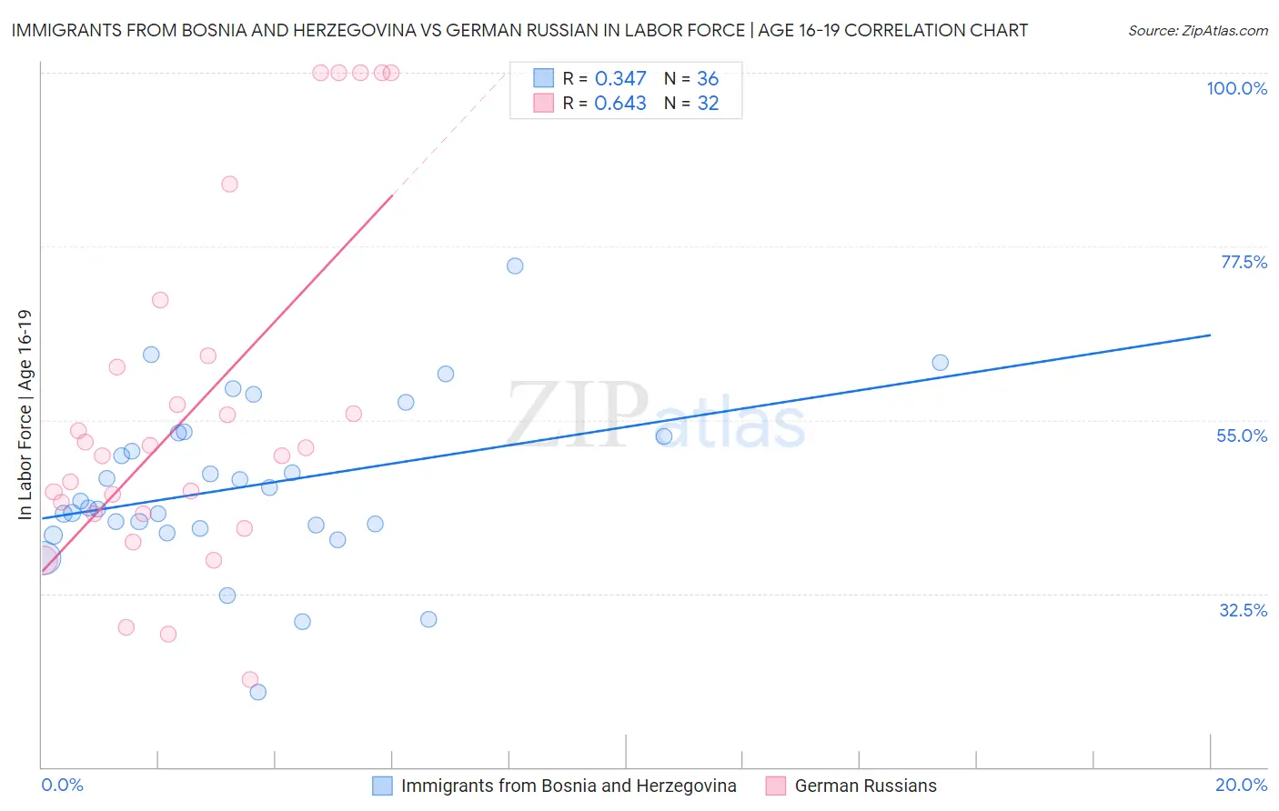 Immigrants from Bosnia and Herzegovina vs German Russian In Labor Force | Age 16-19