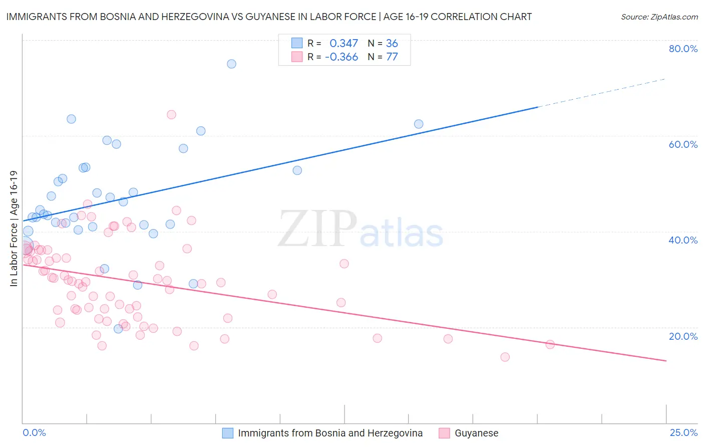 Immigrants from Bosnia and Herzegovina vs Guyanese In Labor Force | Age 16-19