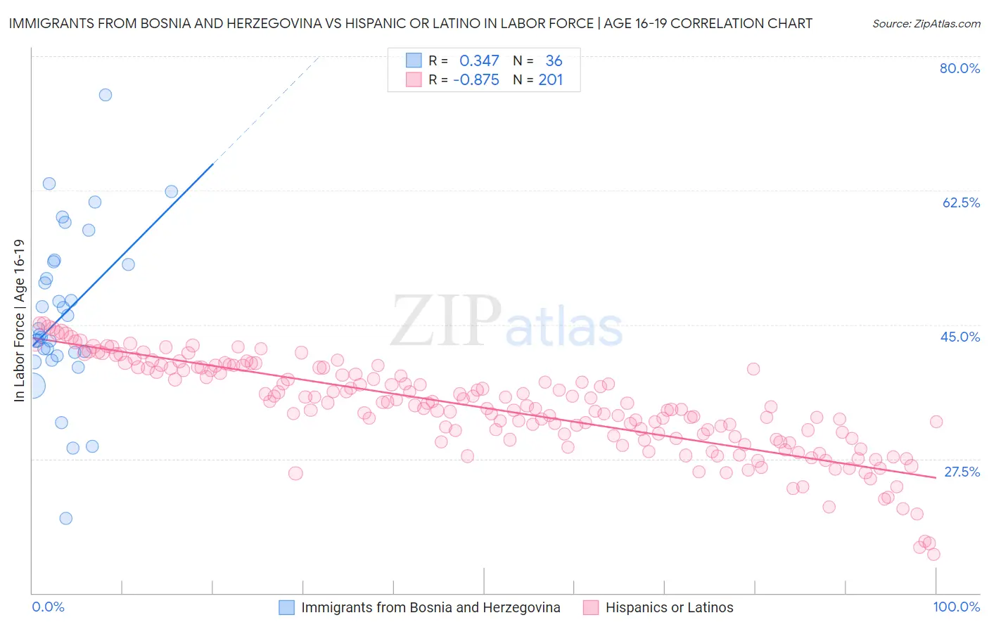Immigrants from Bosnia and Herzegovina vs Hispanic or Latino In Labor Force | Age 16-19