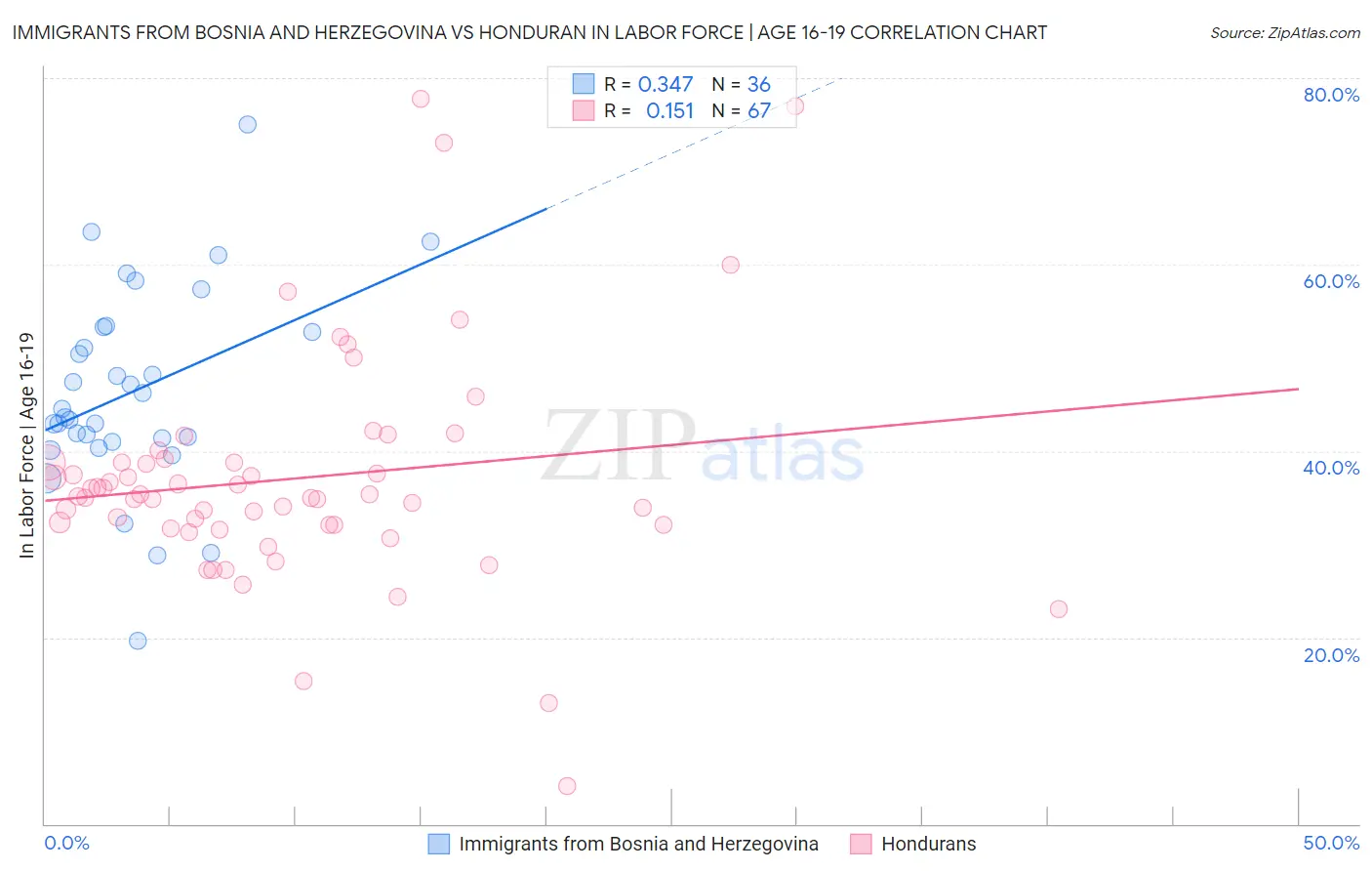 Immigrants from Bosnia and Herzegovina vs Honduran In Labor Force | Age 16-19
