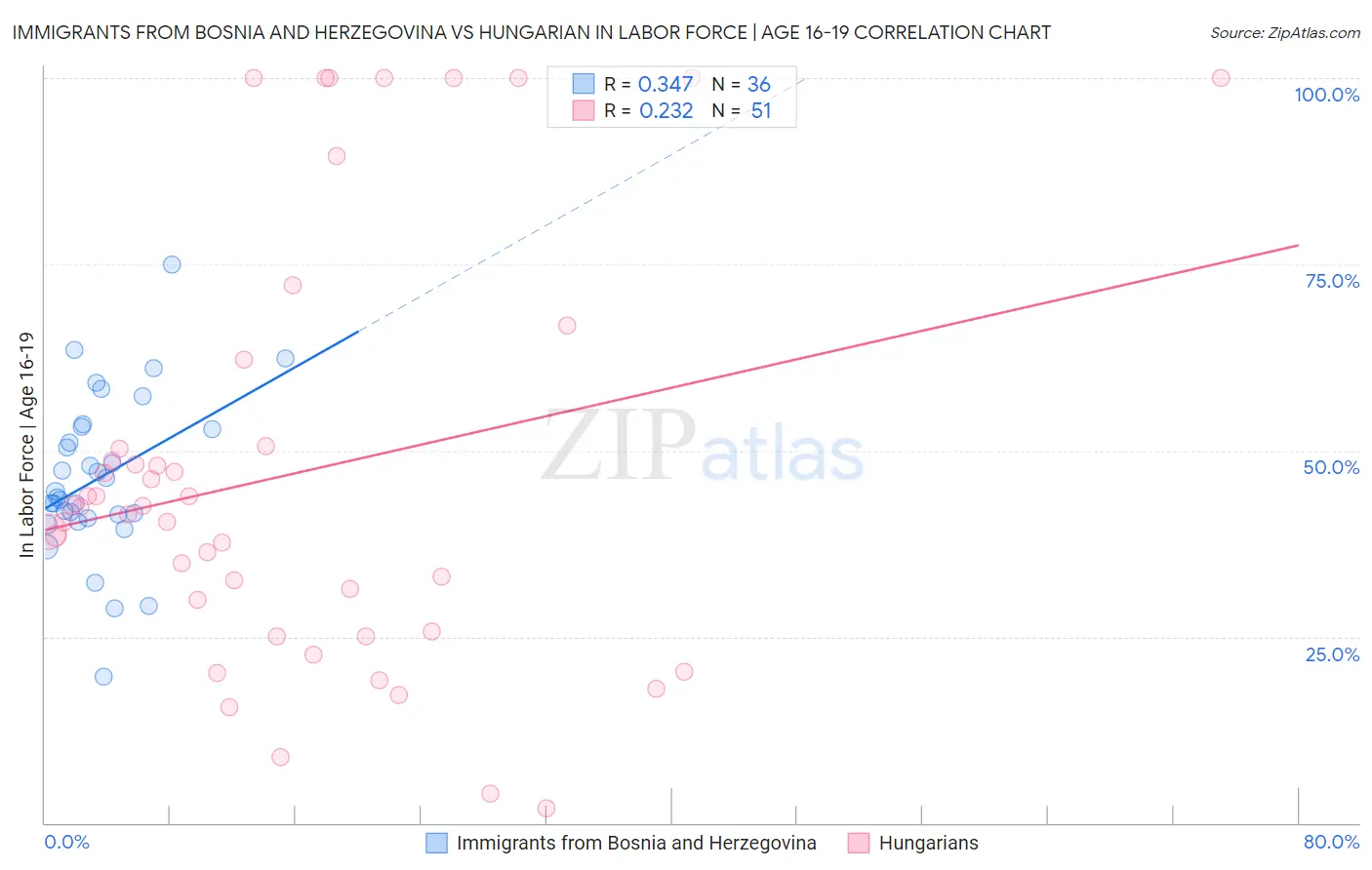 Immigrants from Bosnia and Herzegovina vs Hungarian In Labor Force | Age 16-19