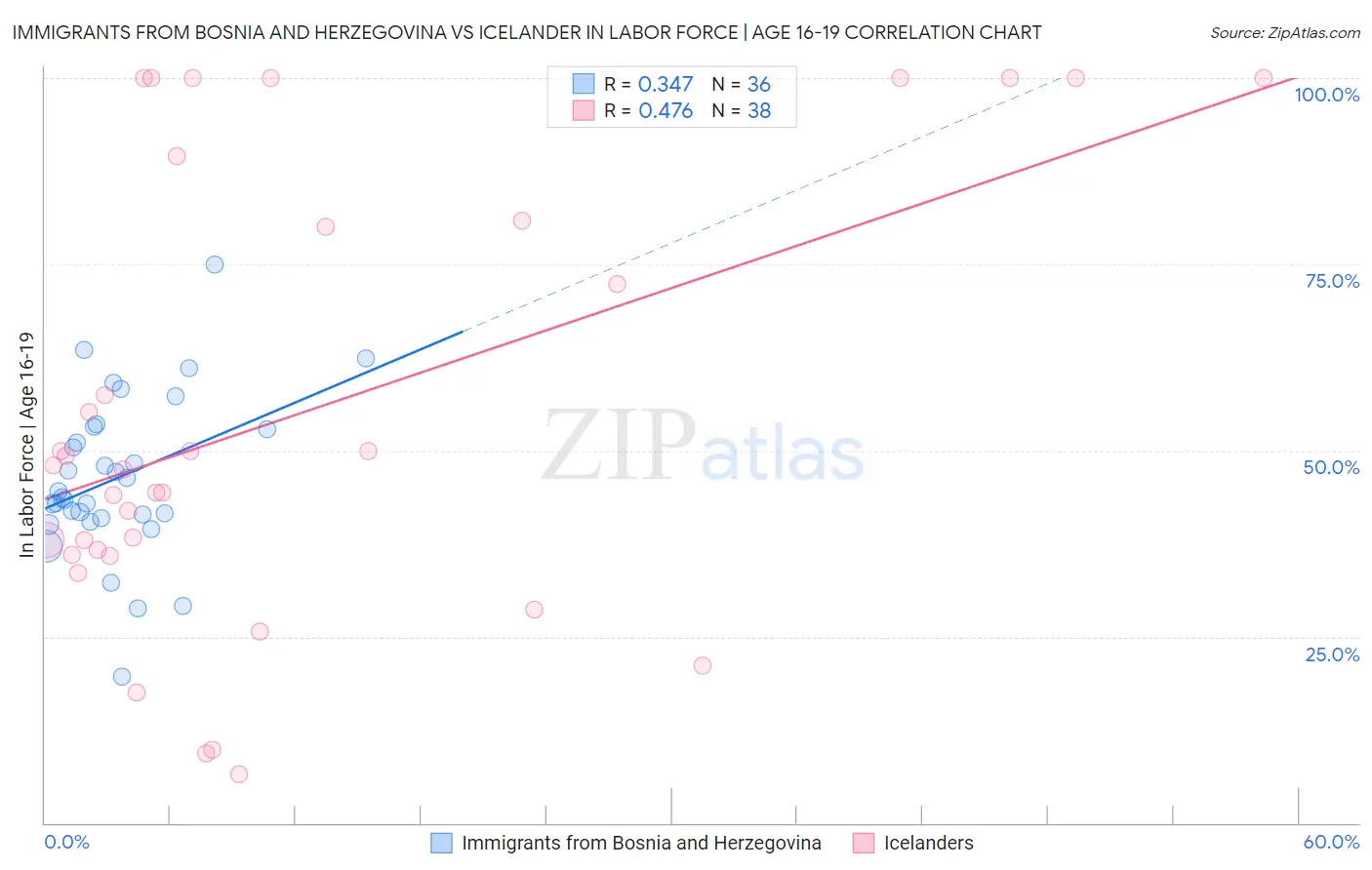 Immigrants from Bosnia and Herzegovina vs Icelander In Labor Force | Age 16-19
